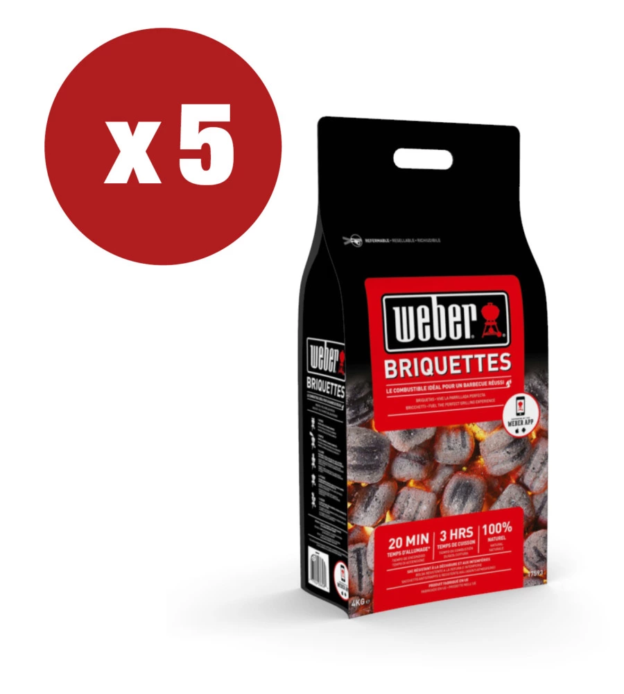 BRICCHETTI DI CARBONE WEBER PER BARBECUE 4KG X 5 PEZZI